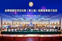 必康宠物医疗荣获“2024品牌强国宠物DR领军企业”，2025蓄势待发