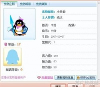 qq宠物征婚怎么写