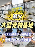 遵义宠物猫狗的地方宠物基地选购猫狗更放心