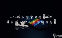 wow猎人宝宝大全 WOW兽王猎人什么宝宝输出高