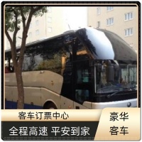 长春到泉州卧铺汽车宠物托运