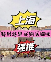上海哪里有卖宠物猫狗的地方这里买宠物猫狗品质保障