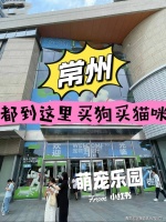 常州买布偶猫（常州）买布偶猫的地方丨常州福安家宠物店欢迎您