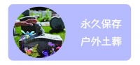 「图」猫咪火化 狗狗火化 宠物火化 宠物狗火化 宠物狗火葬