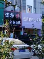 优格宠物医院 淮南优格宠物医院地址 优格宠物医院电话