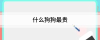 什么狗狗最贵