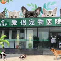 爱侣宠物医院的个人主页