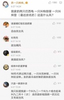 看了网友们给自家宠物起的名字，差点笑岔气