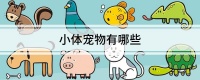 小体宠物有哪些