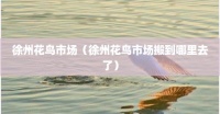 徐州花鸟市场（徐州花鸟市场搬到哪里去了）