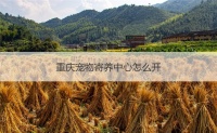 重庆宠物寄养中心怎么开 重庆宠物寄养平台有哪些【汇博招聘】