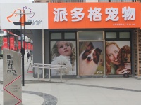 开一个宠物店的进货途径有哪些