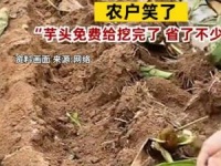 猫咪的名字独特一点 独特好听的猫咪名字大全