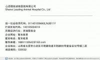 山西领航动物医院有限公司 (山西省太原市小店区平阳路街道平阳路65号紫金谷32号楼二层邮政编码030032)