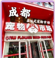 探究卖宠物狗的主要平台（宠物狗市场及相关平台一览）