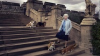 英国女王去世，她最爱的柯基犬们怎么办？