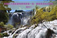 云南各大景区宠物携带政策一览：哪些景点允许宠物同行？