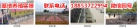 山东滨州无棣县养狗场厂子