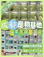 成都哪里可以实体店看宠物？（成都）这里买宠物品质保障