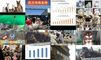 龙头寺宠物市场在哪里