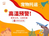 夏季宠物托运注意事项