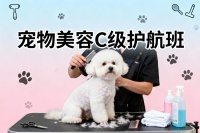 无锡宠物美容C级护航培训班