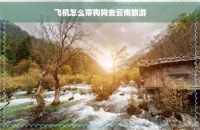 飞机怎么带狗狗去云南旅游