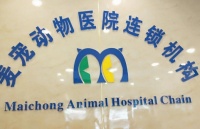 麦宠动物医院(固安分院)——全方位医疗服务