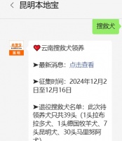 2024年云南搜救犬领养条件及要求