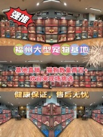 福州买宠物猫狗哪里便宜，这里可以线下实体店挑选宠物！