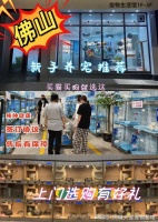 佛山目前哪里有狗市猫市？这里实体店选购宠物安全可靠更值得信赖