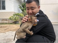 抗“疫”期间救助小萌猴