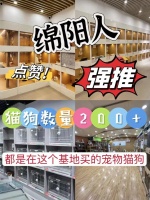 绵阳买宠物到哪里买，绵阳卖狗的地方在哪里，这可实体店挑选宠物