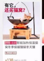 宠物囧图：别人家的猫咪都是虚胖，我家的猫真是着实的胖