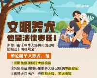 争做合格“铲屎官”