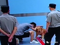微信互动话题