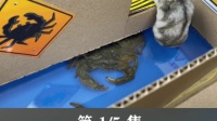 仓鼠双节篇