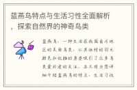 蓝燕鸟特点与生活习性全面解析，探索自然界的神奇鸟类