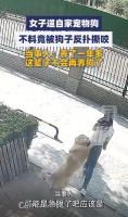女子遛自家宠物狗,不料竟被狗子反扑撕咬,当事人:养了一年多,这辈子不会再养狗了