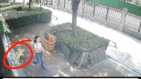 女子惨遭自家狗扑咬!长得很漂亮,金毛发疯了,疑似踢到蛋蛋了