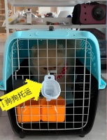 宠物托运)海口宠物出国托运宠物托运运输费用