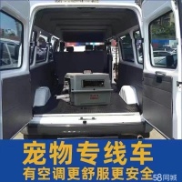 海口本土宠物托运,多年托运经验,说走就走,宠爱到家,给她一场爱的旅行。