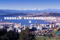 移民宠物怎么带，移民前后宠物的携带和托运方法