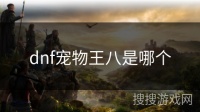 dnf宠物王八是哪个