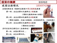 益阳宠物狗店