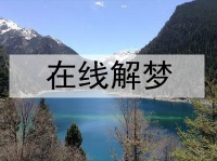 梦见自己养的动物 宠物是什么意思