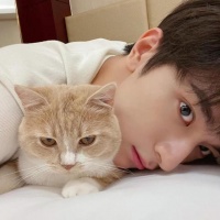 高清男生抱猫图片大全