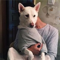 男生抱在怀里狗头像