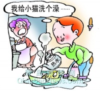 虐待动物发泄郁闷 七岁男孩用开水烫死宠物猫