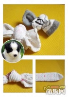 创意手工：给狗狗一件最有爱的磨牙玩具